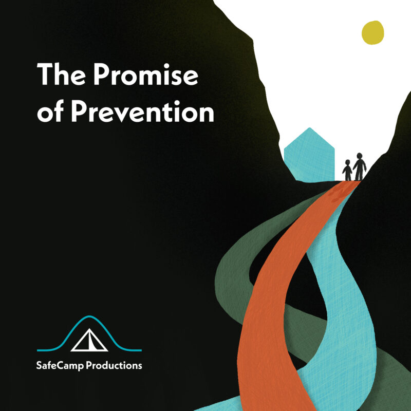 The Promise of Prevention show art